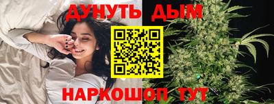 индика Бийск