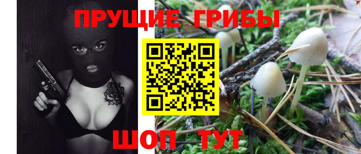 Керчь  Галлюциногенные грибы Psilocybe  Вход с VPN 
